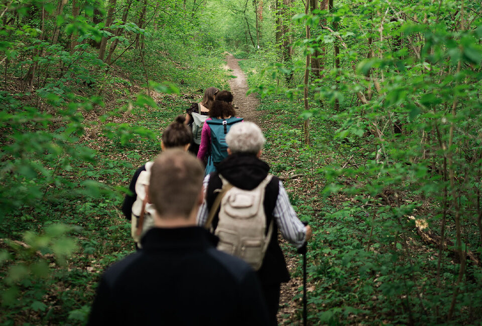 Wildkräuterwellness-PFLANZEN & SEELE Kräuterwanderung